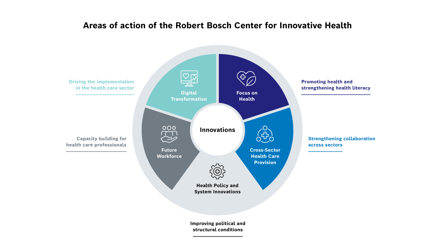 The chart presents the five areas of action of the RBIH.