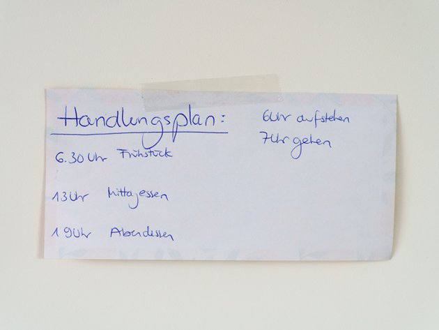 INSEA_Armbruster_Handlungsplan_800x600