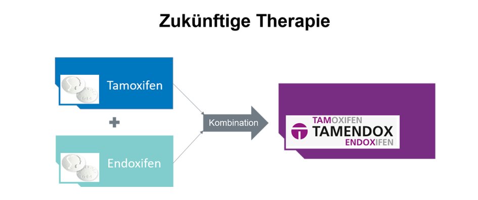 TAMENDOX_Webbeitrag_Grafik_Text1200x503px.jpg